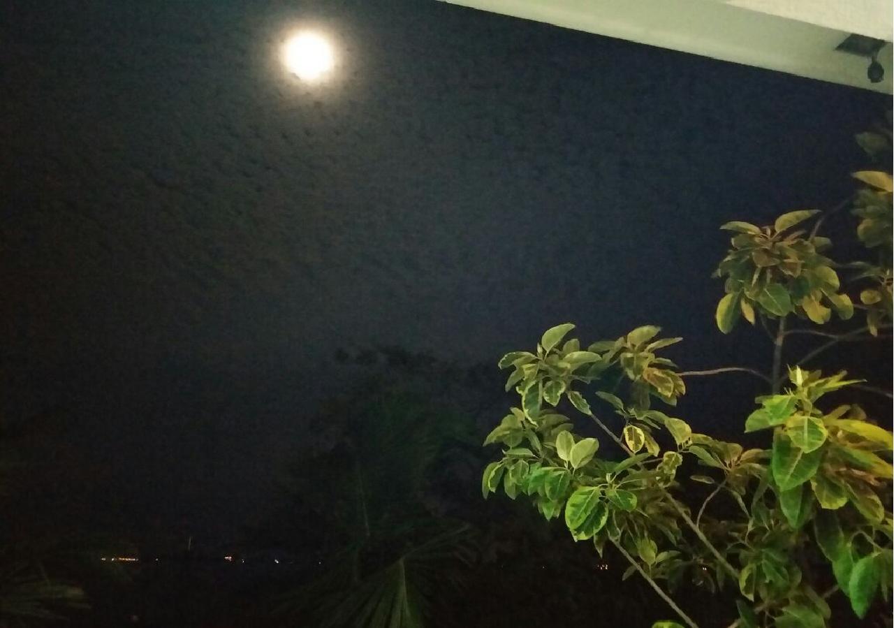 Negombo Holiday Home Bagian luar foto